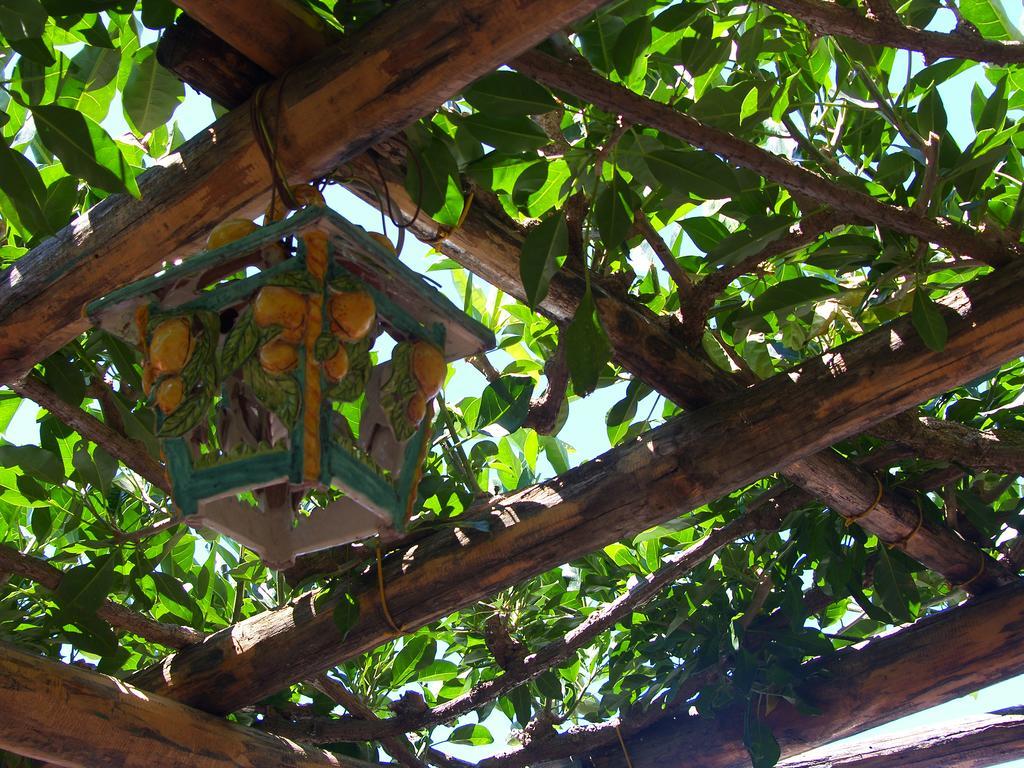 Locanda Degli Agrumi Conca dei Marini Exterior foto